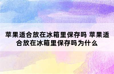 苹果适合放在冰箱里保存吗 苹果适合放在冰箱里保存吗为什么